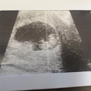 Meet your Posher, Misty